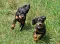 dsc_0120_800x582.jpg