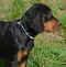 dsc_0124_797x800.jpg