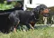 dsc_0126_800x555.jpg