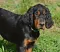 dsc_0126_800x683.jpg